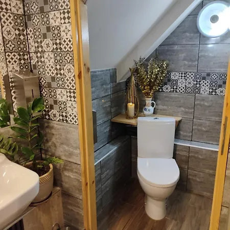 Lion Heart Traugutta 47 公寓 拉多姆