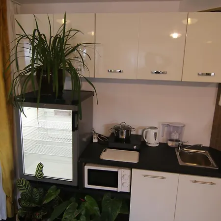 Lion Heart Traugutta 47 公寓 拉多姆