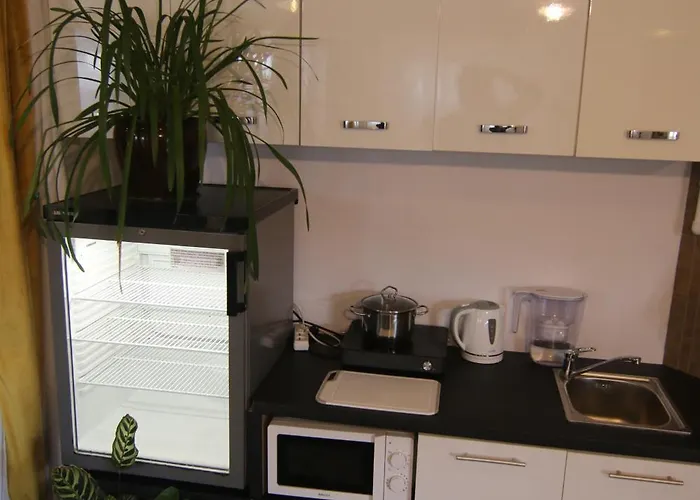 Lion Heart Traugutta 47 公寓 拉多姆