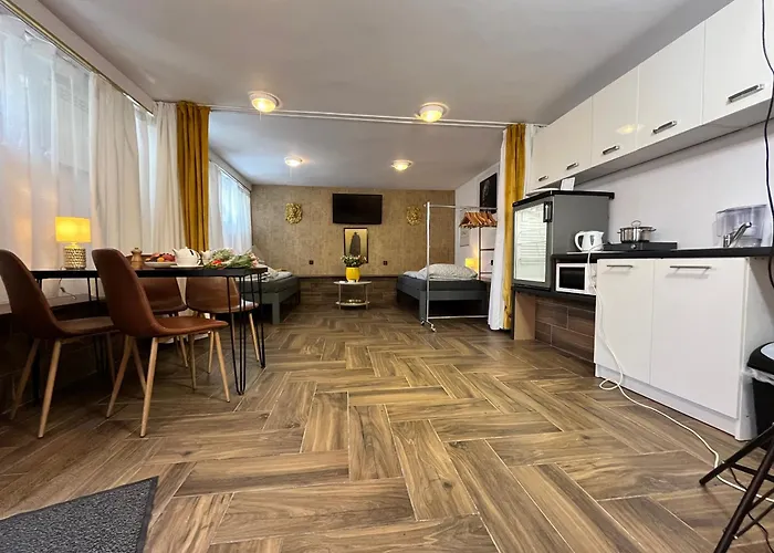 Lion Heart Traugutta 47 公寓 *